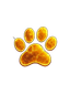Grokie Inu